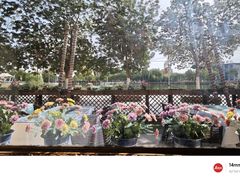 -海尔巴格·新疆菜(吐鲁番店)