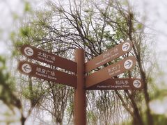 -大兴滨河森林公园