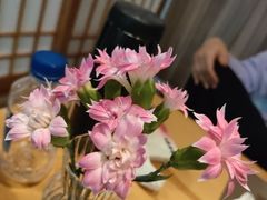 -酒井酱子·深夜食堂(东城汇店)