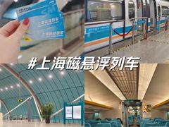 -龙阳路磁悬浮列车总站-停车场