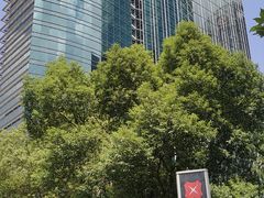 -Acqua海蓝意大利餐厅
