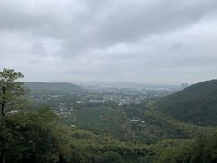 -旺山景区