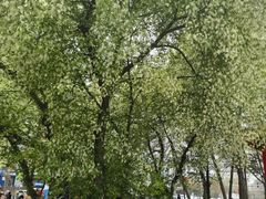 -北陵公园