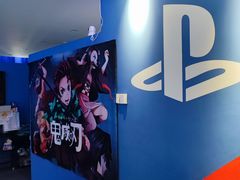 -浣熊部落ps4 ps5 switch 电玩(茶店子店)