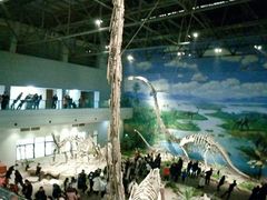 -自贡恐龙博物馆