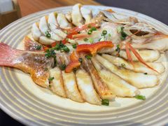 清蒸彩虹斑-九井澤精致料理(金茂店)