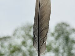 -重庆市江北嘴中央商务区中央公园