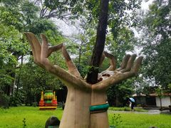 -瑞丽独树成林风景区