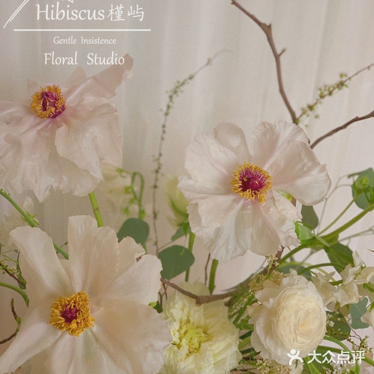 单瓣牡丹开花啦～