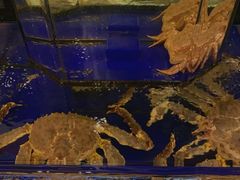 -蟹道乐(道顿堀本店)