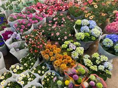 -双季花艺园艺市场(浦东店)