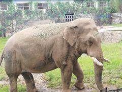 -西安秦岭野生动物园