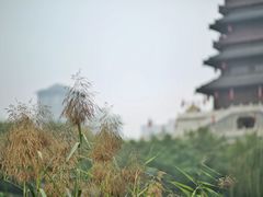 -西安汉城湖景区