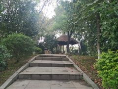 -艾溪湖湿地公园