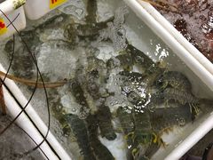 -拉威海鲜市场