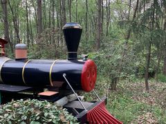 -合肥滨湖国家森林公园