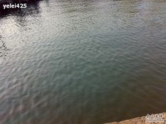 -西湖天地