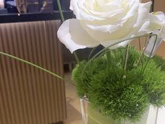 -蓉小乔·RONG COFFEE(春熙路店)