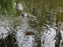 -北京海洋馆