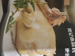 -百年果林椰子鸡(中洲店)