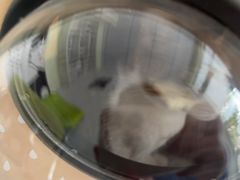 -艾吉宠物医院·疑难杂症转诊中心·猫友好(碧江路院)