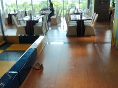 -武汉世茂希尔顿酒店·汇·全日餐厅