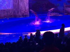 -华夏文旅海洋公园