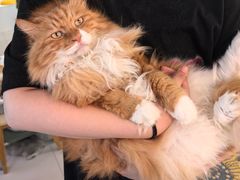 -平行世界·猫咖(首经贸店)