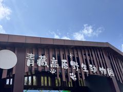 -青藏高原野生动物园