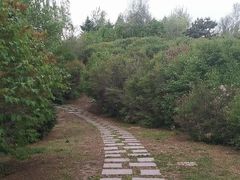 -群力丁香公园