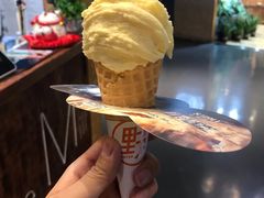 -野人牧坊Gelato(天津南开大悦城店)