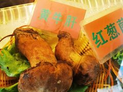 -易门野生菌府·菌海森林(月牙潭公园店)