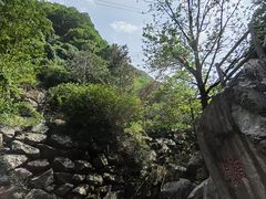 -西安祥峪森林公园