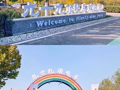 -九十九顶毡房(阜石路店)