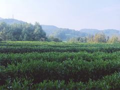 -西湖风景区十里琅珰-五云山