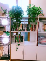 -丹漪·DANYI 美肤中心