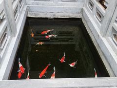 -鲤院·新中式美学·庭院餐厅(夫子庙店)