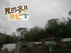 -牛背梁国家森林公园