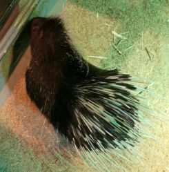 -酷嗒动物文化乐园(cutezoo西溪乐天城店)