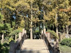 -上海醉白池公园