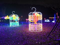 -飞凤山奥体公园