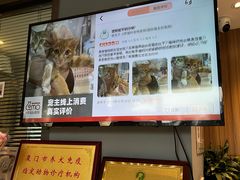 -御宝贝·A梦猫科宠物医院(国际猫友好医院)