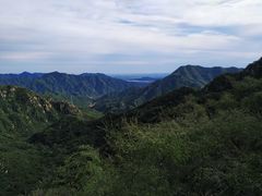 -大岭沟猕猴桃谷风景区