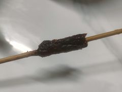 -远哥烧烤店(建大店)