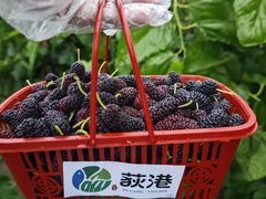 -丝绸小镇荻港古村