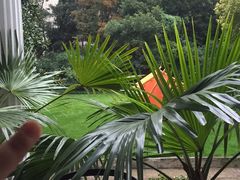 -Nathalie Djurberg与Hans Berg“牛皮纸包裹的月亮”-Prada荣宅当季展览
