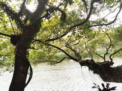 -潮州西湖