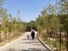 -樱桃部落培训基地