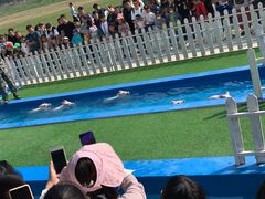 -大连铭湖国际观光牧场