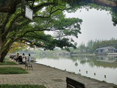 -江心屿景区